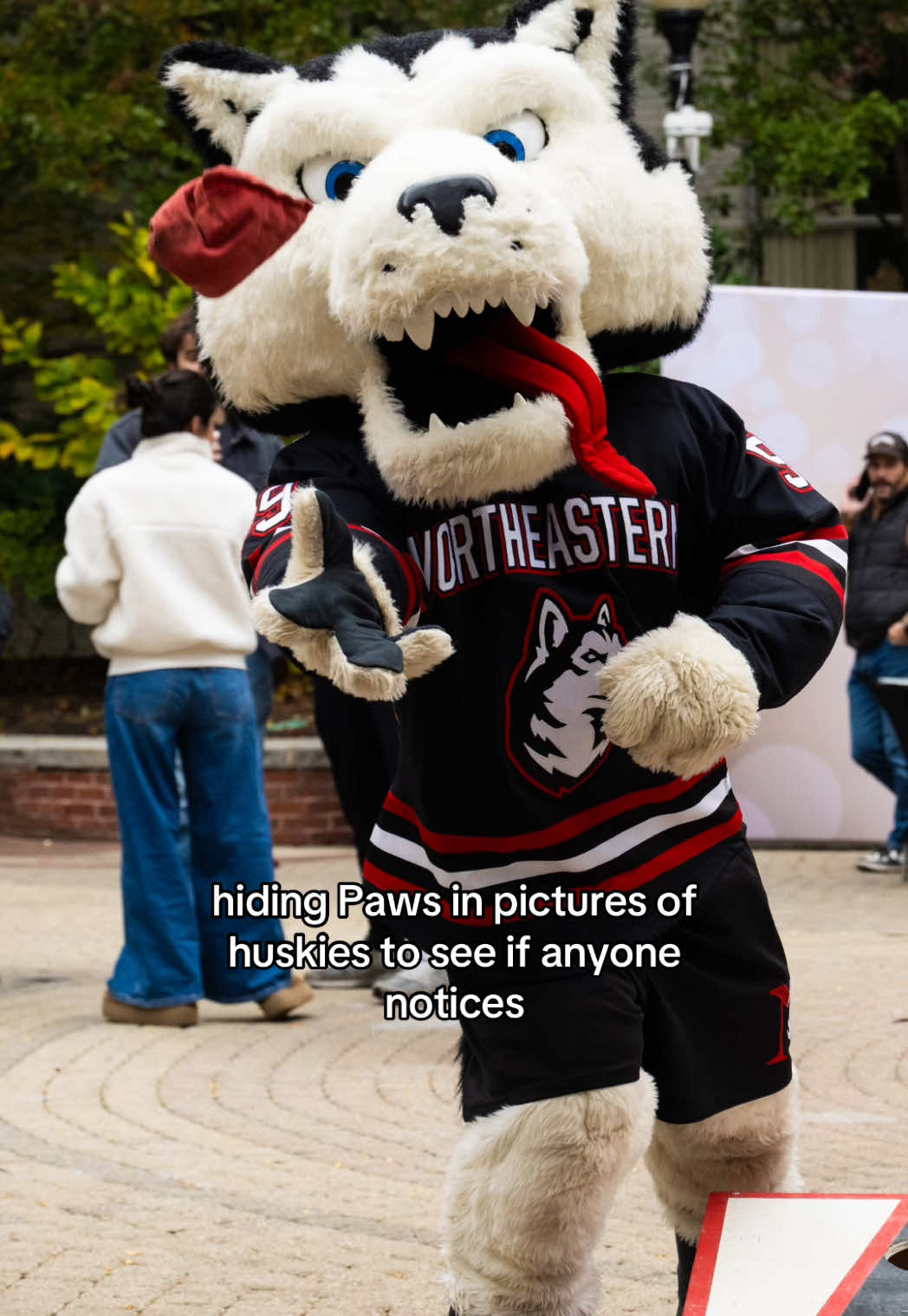 @Northeastern