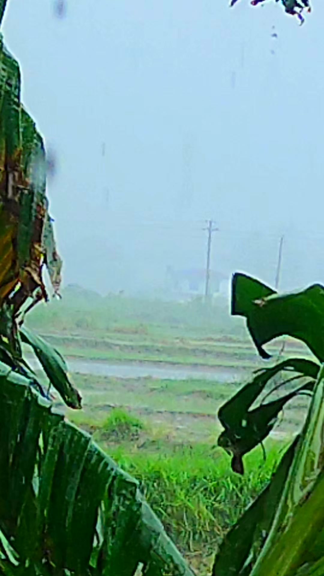 @Kavita Sardar