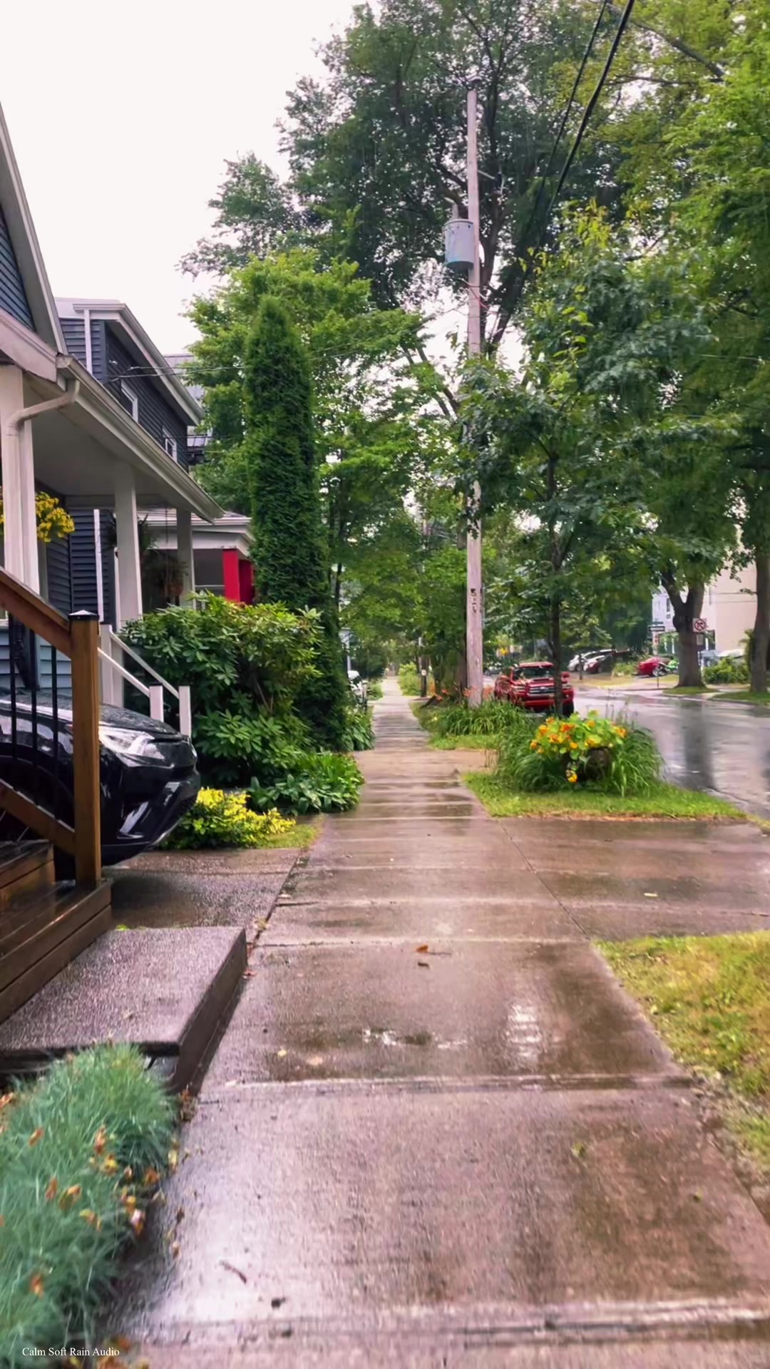 @Calm Soft Rain Audio