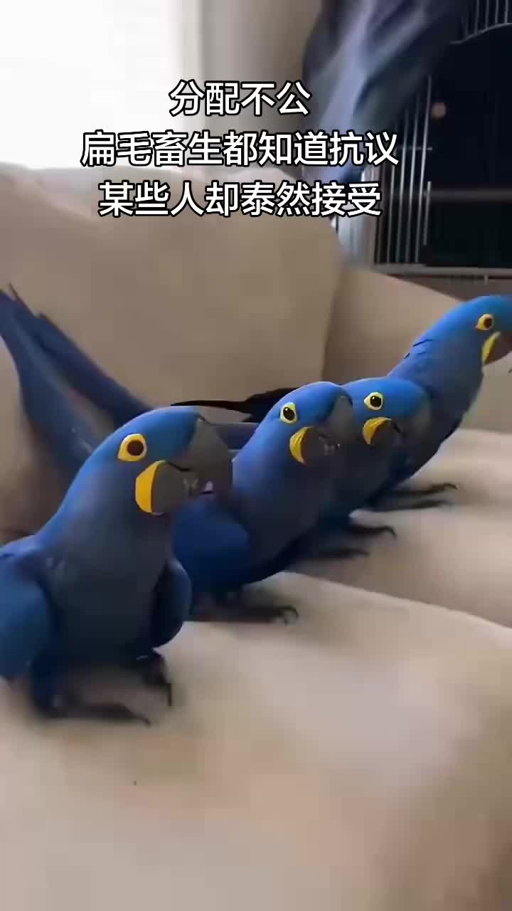 @晃晃悠悠