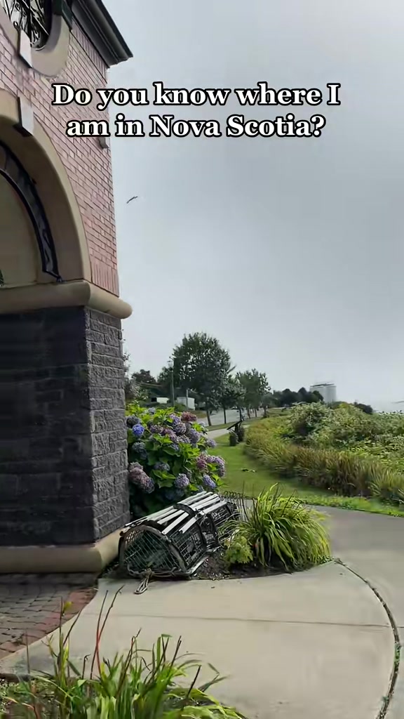 @Scotianmotion