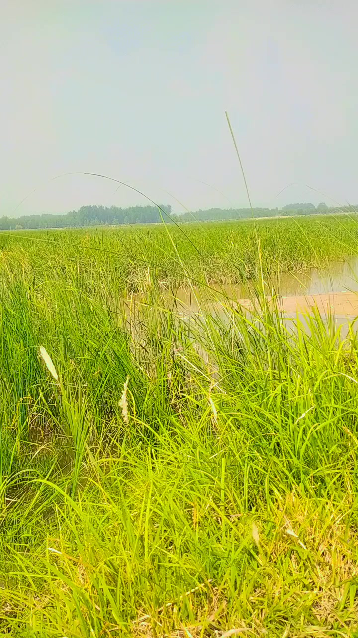 @S.K jani