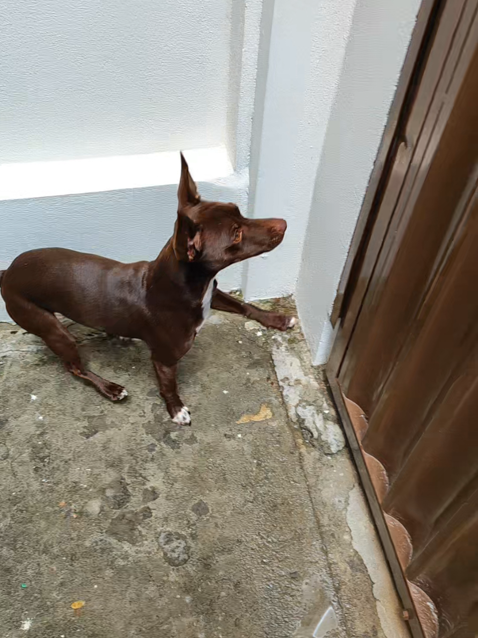 @Belinha e tiamara