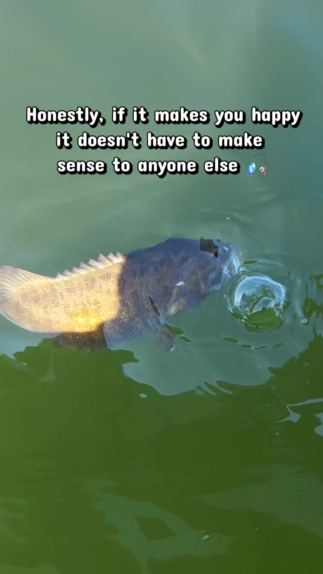@TheFishingFix