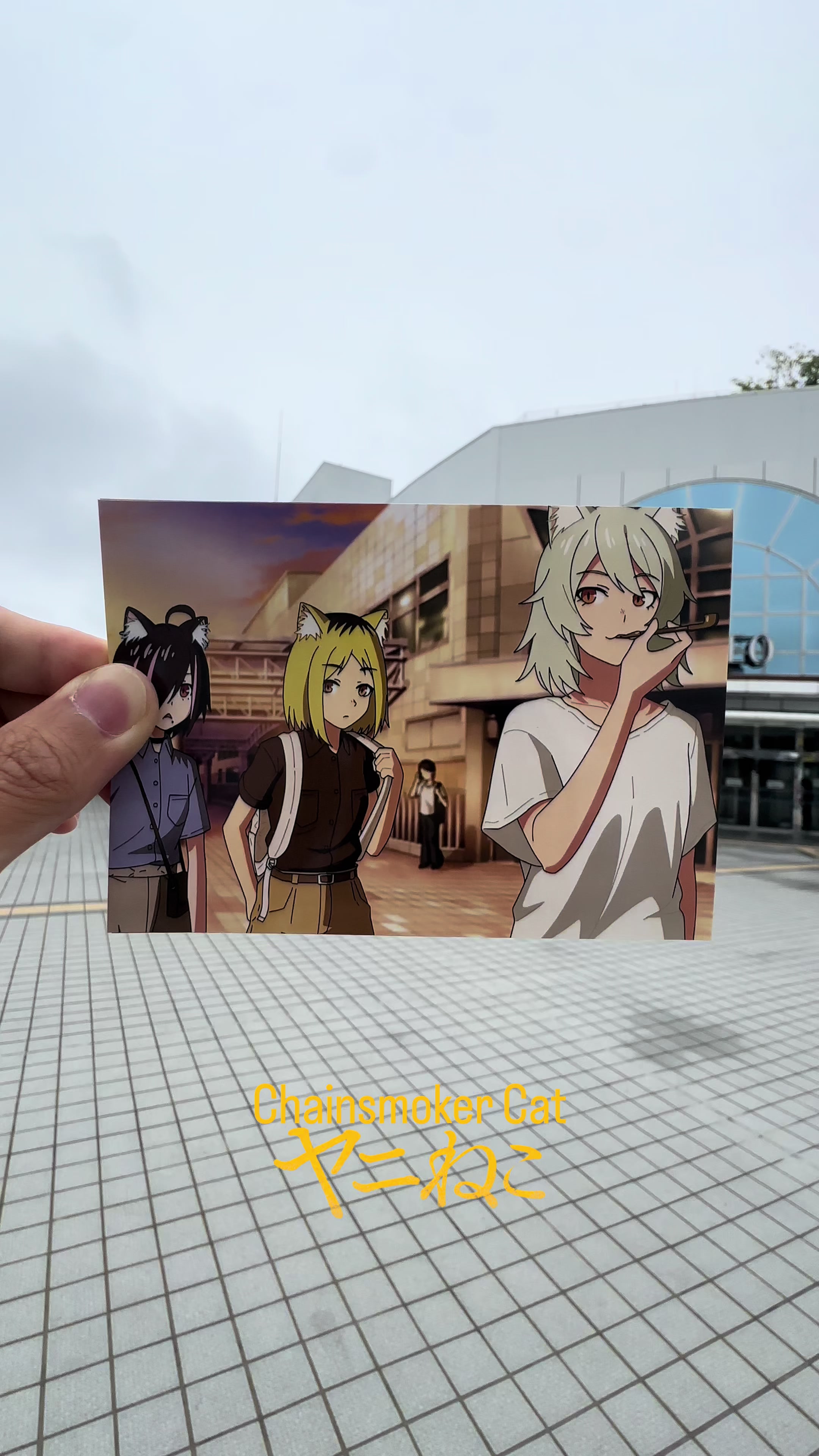 @ヤマタツ