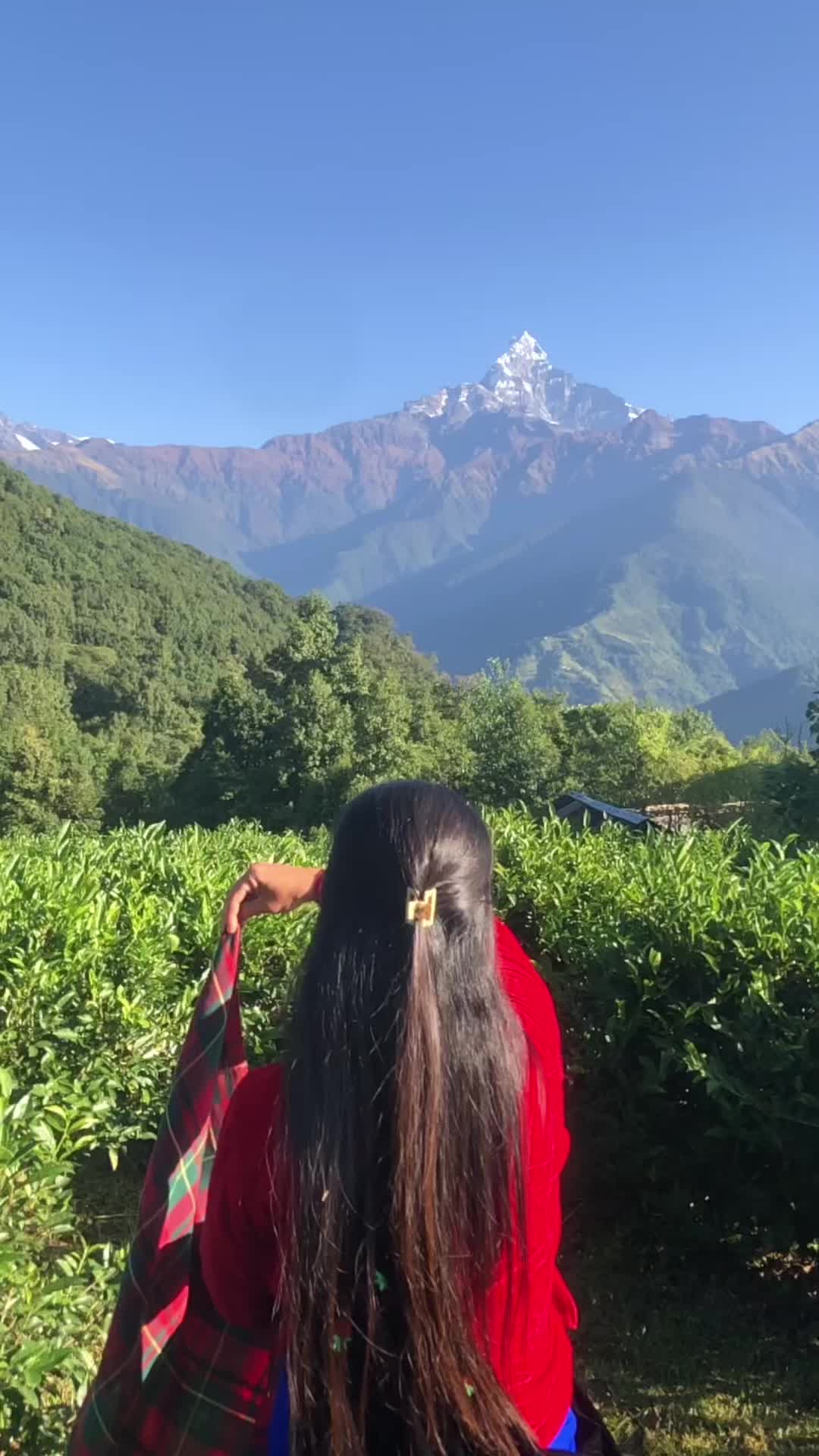 @dipupoon611