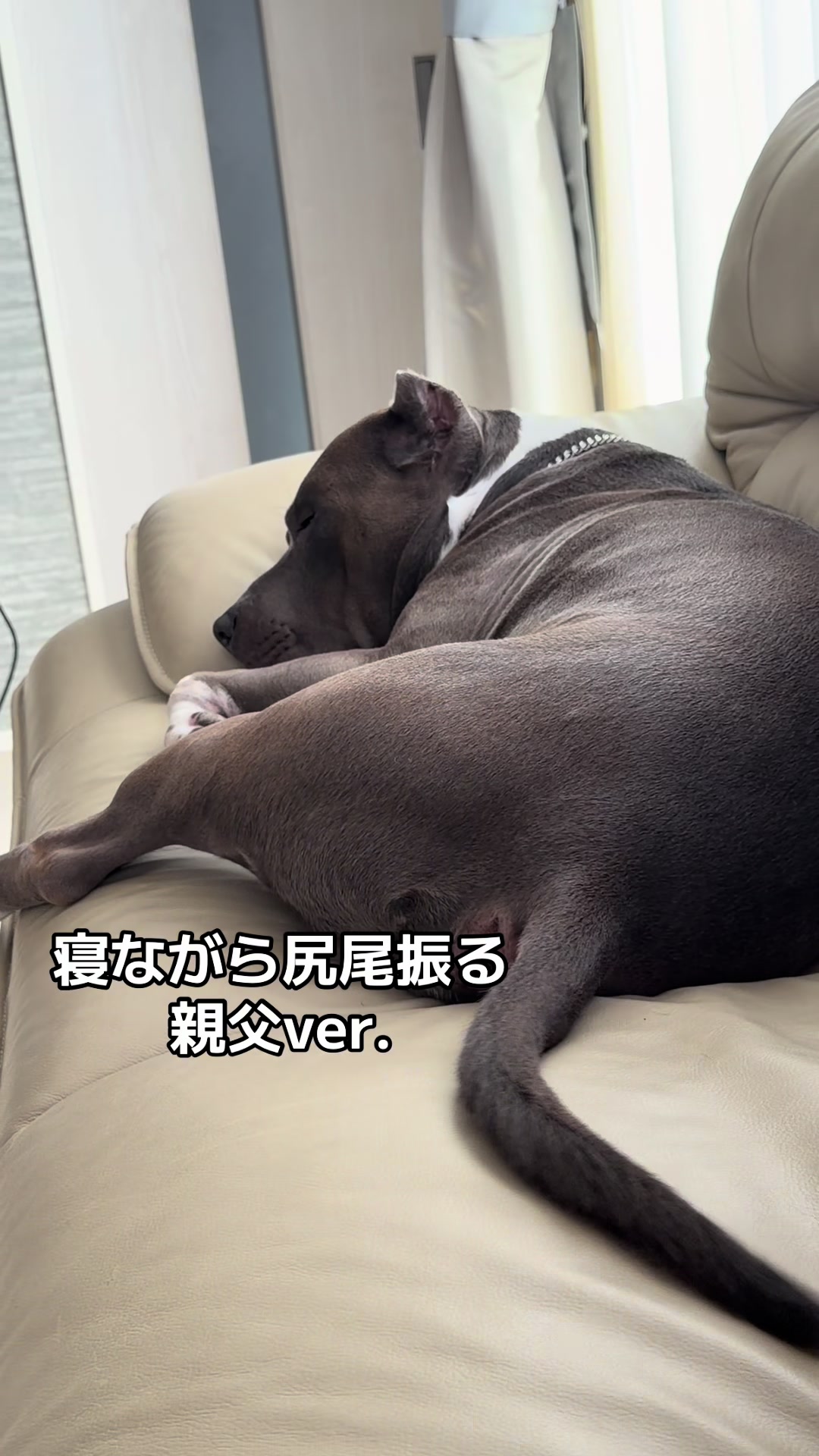 @BOSSใ ใ๐พ๐