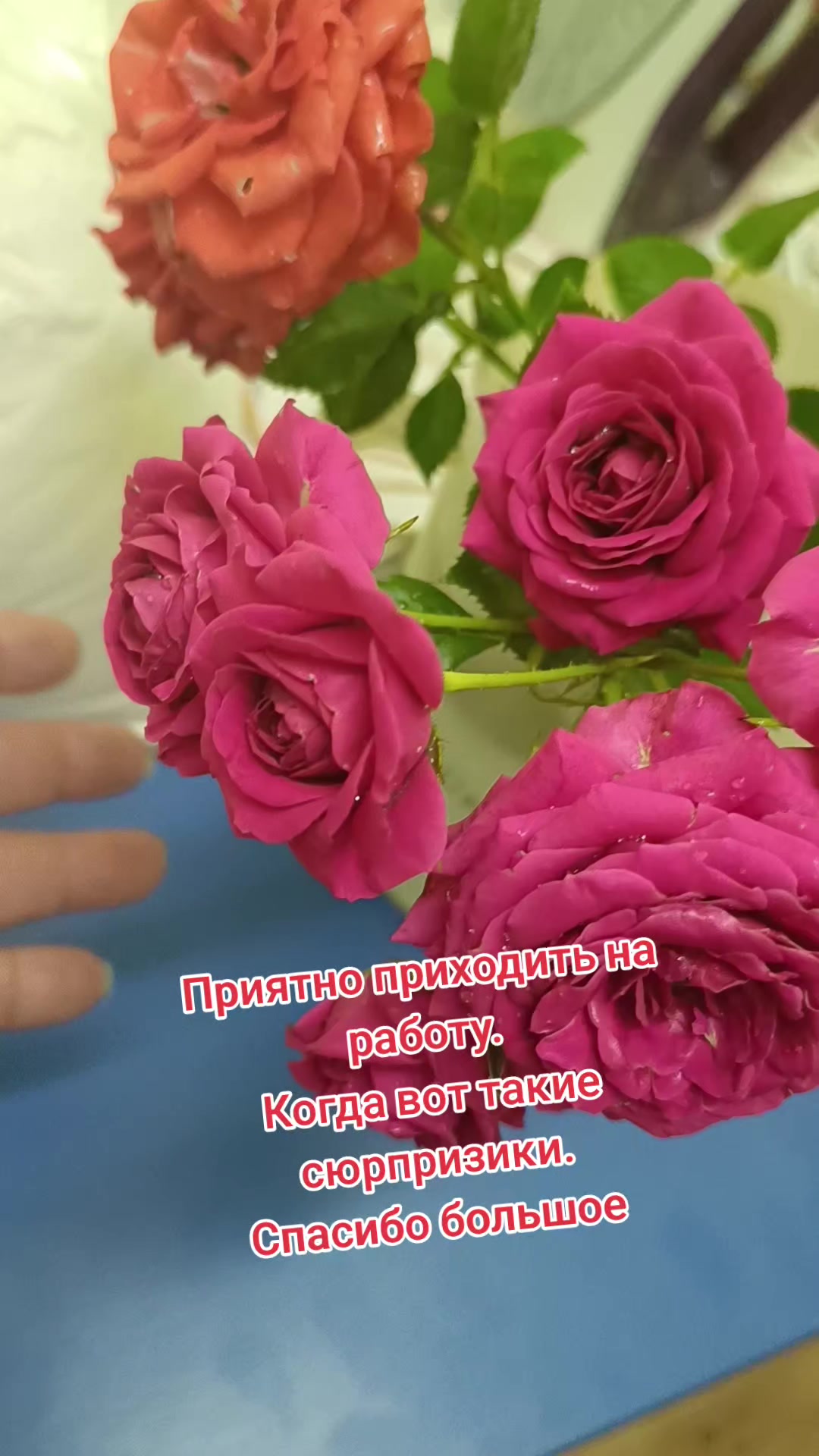 @⚜️&beta;&upsilon;&Kappa;&gamma;&lambda;ЬKa❄️