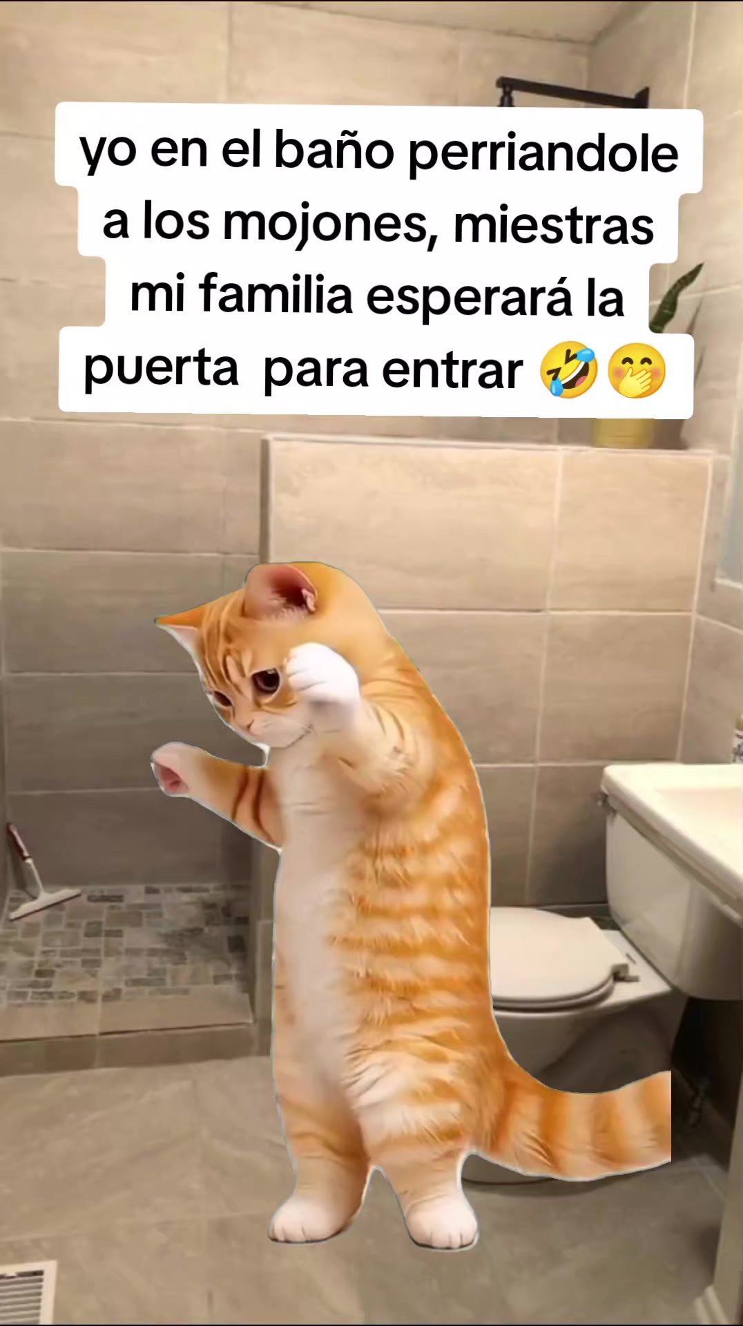 @Karol 💅🏼