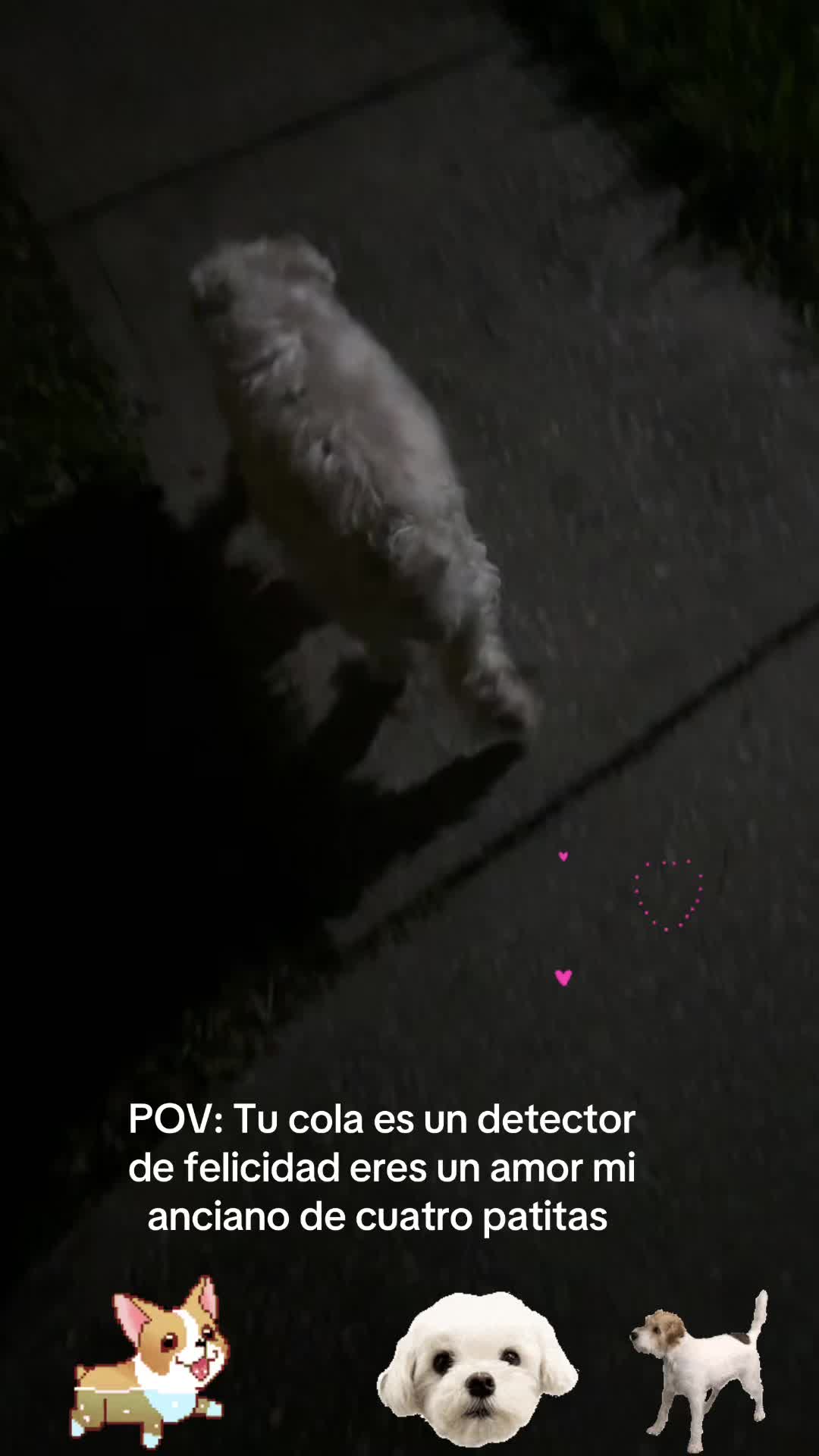 @los3huevertos