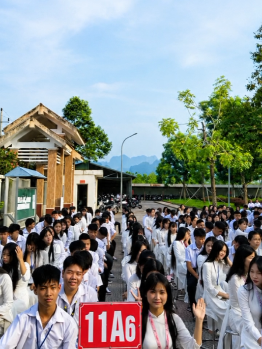 @T.Nga
