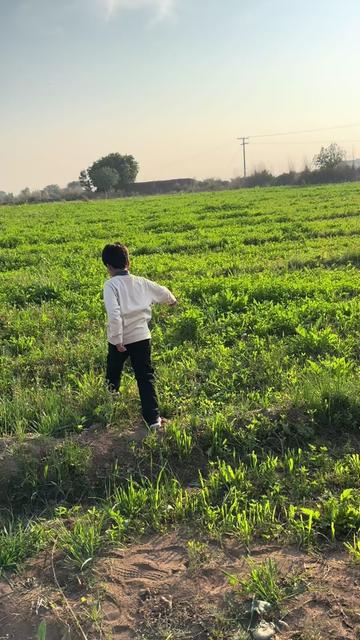 @diya chudary