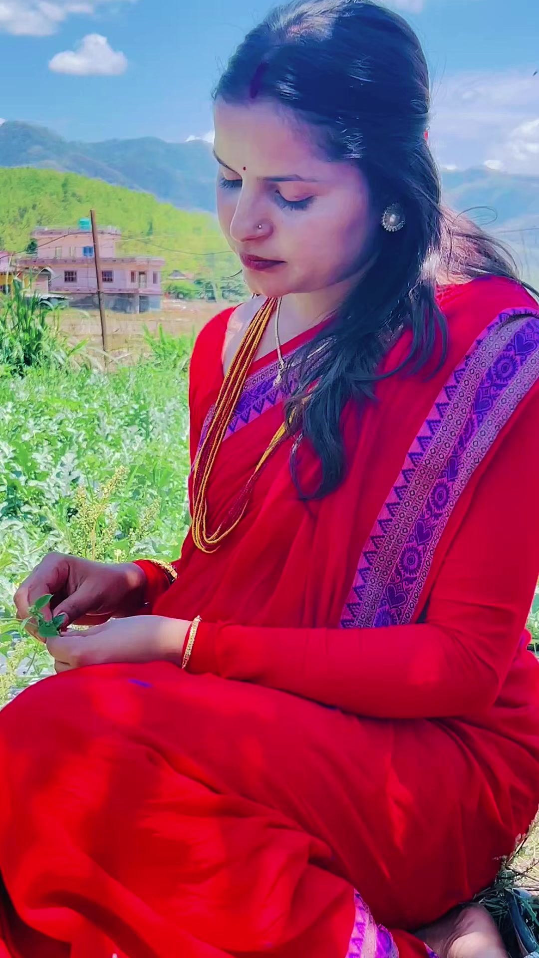 @dipsana