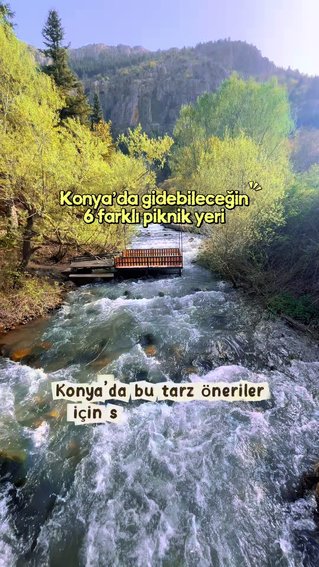 @Almina Ayçiçek