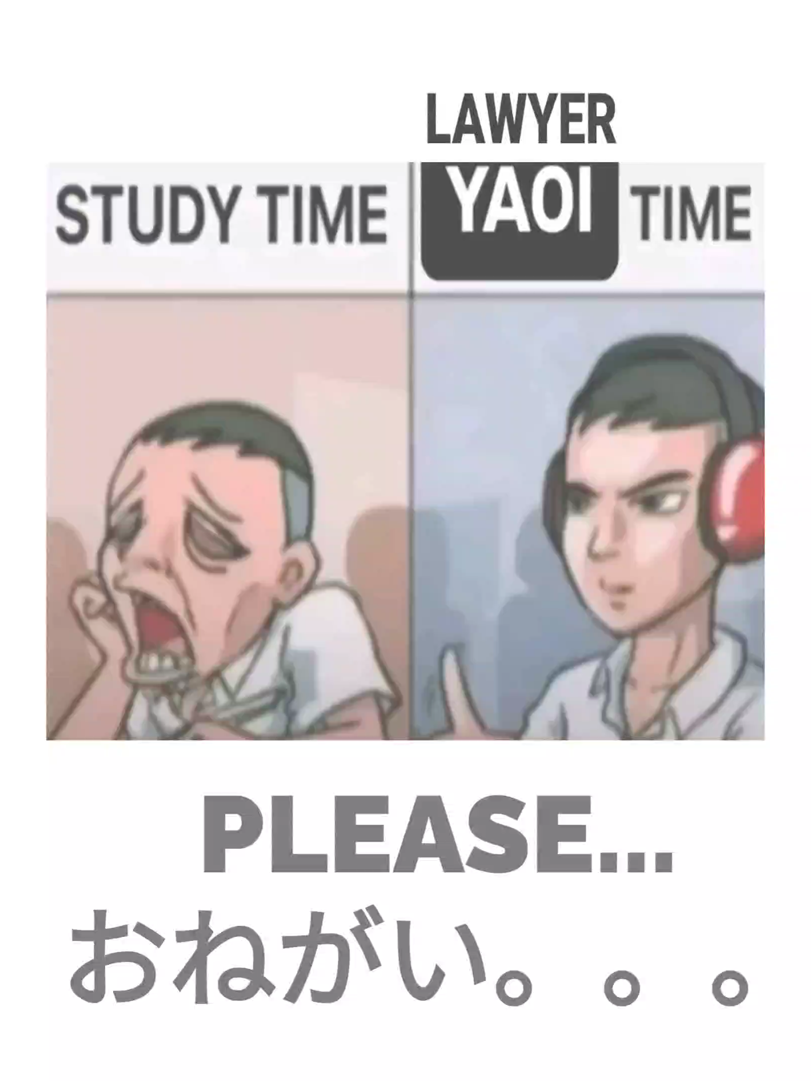@rabi 🌸