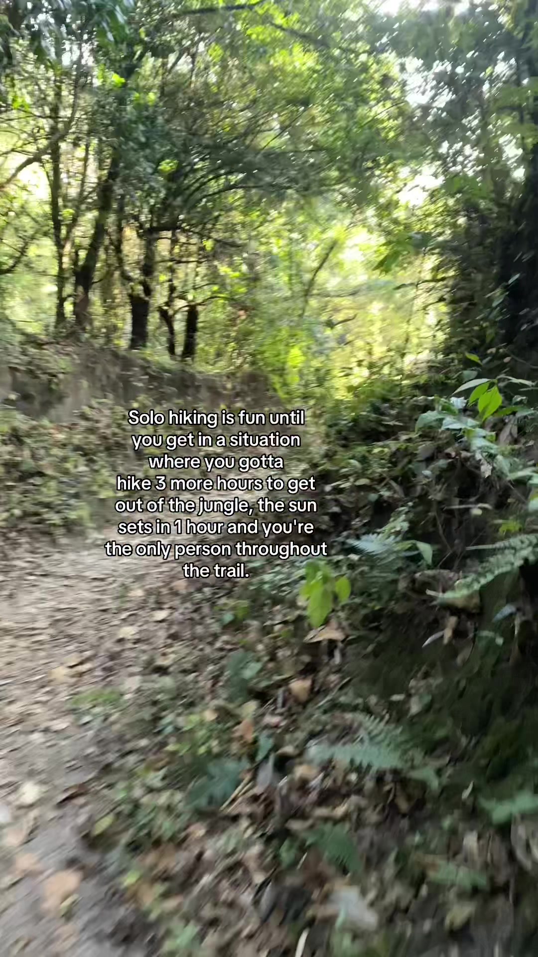 @lama.ji