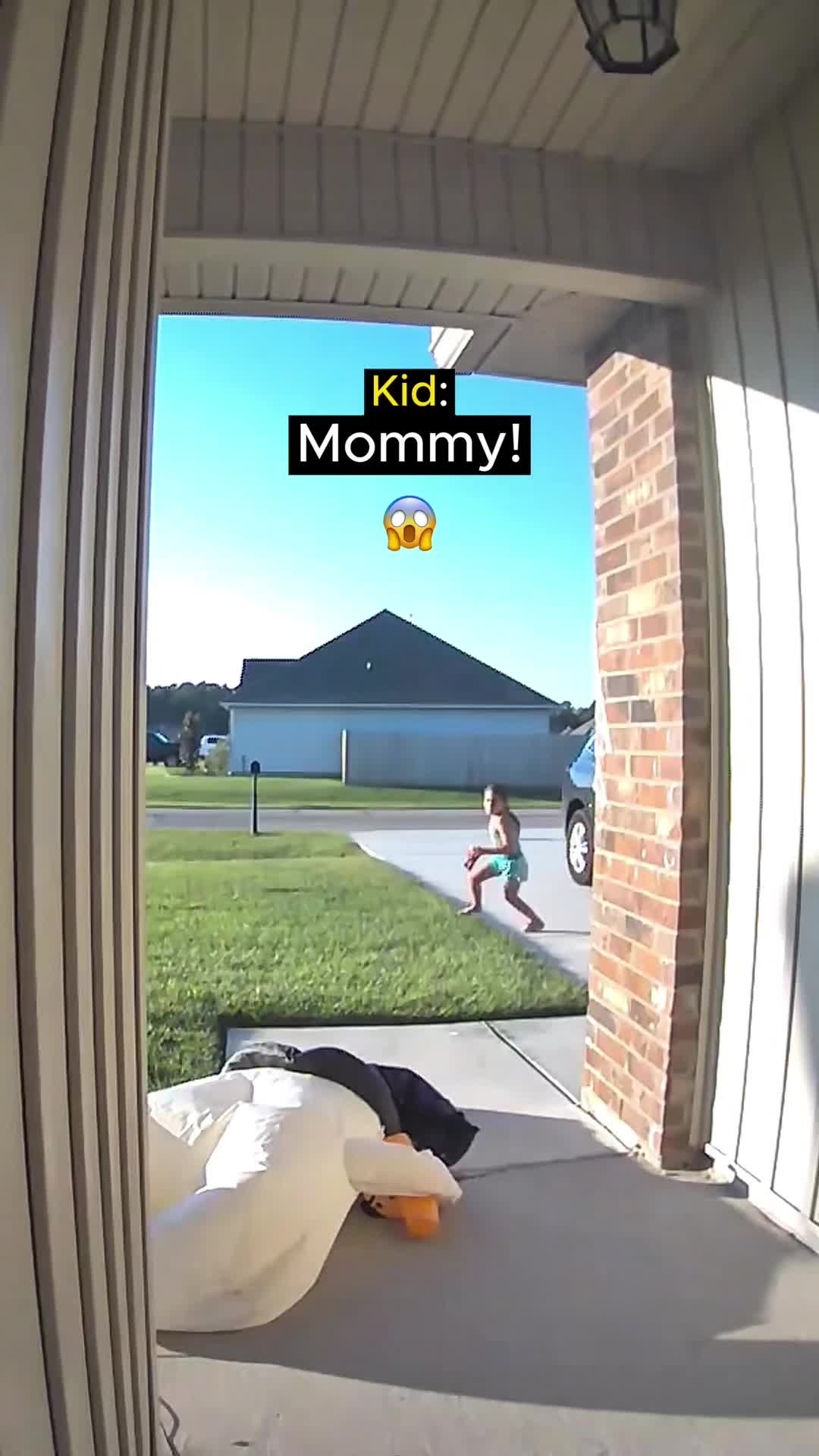 @petsoftiktok