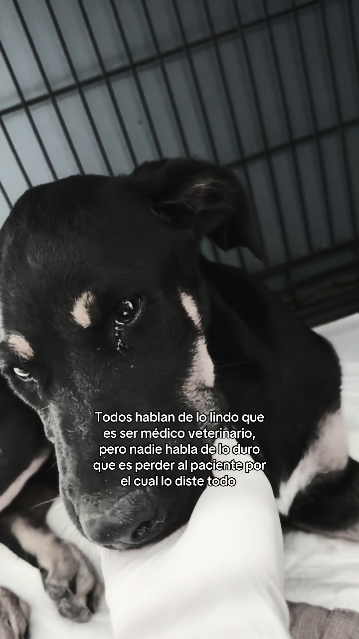 @Mvz Deisi Sanchez