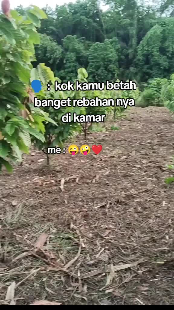@RAIHAN 乂
