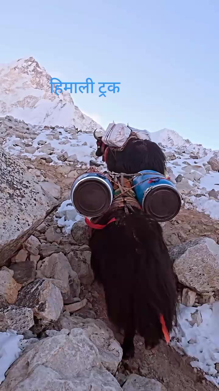 @Po.कि पेजा . K.D.❤️💞❤️💞❤️