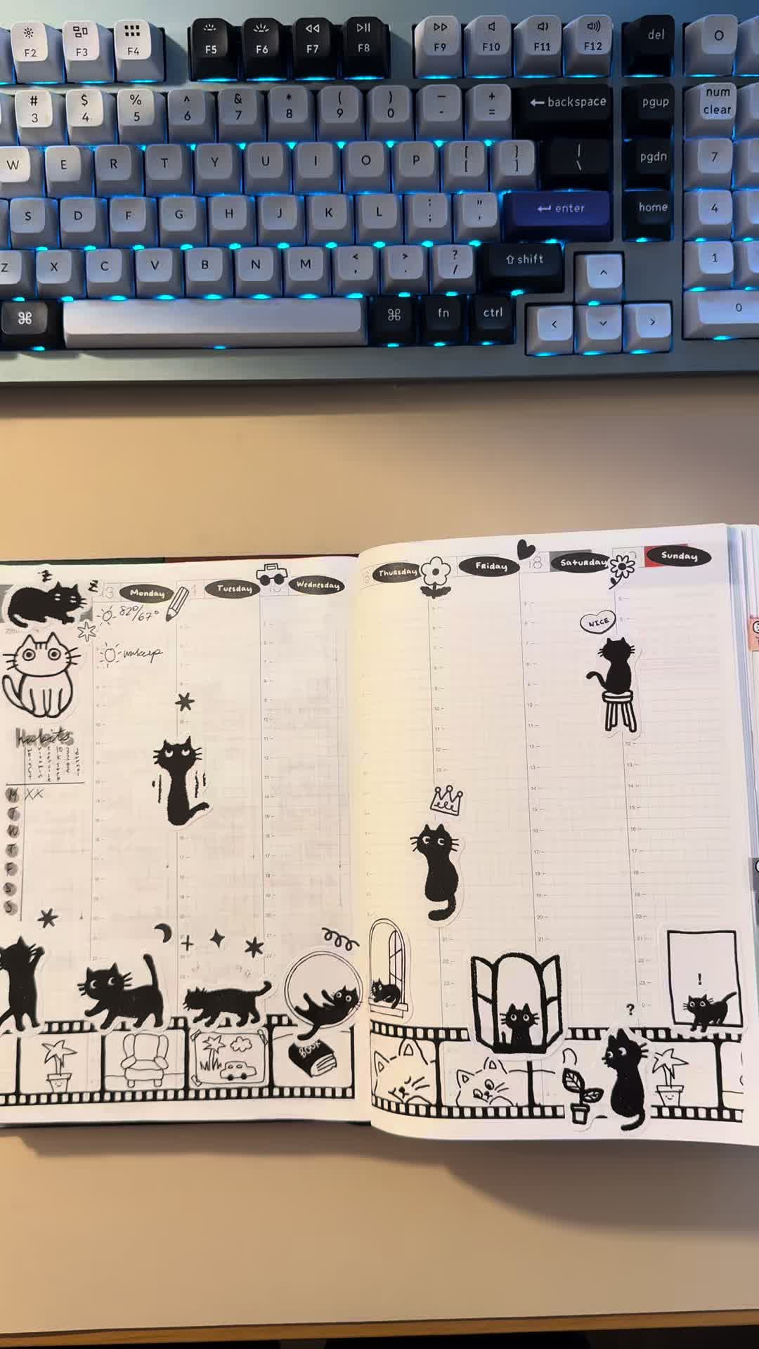 @mari ₍^. .^₎⟆