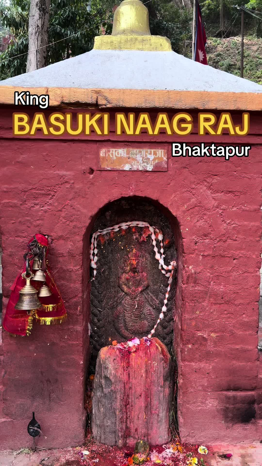 @तजिलजी या बाखः |संस्कृतिको कथा
