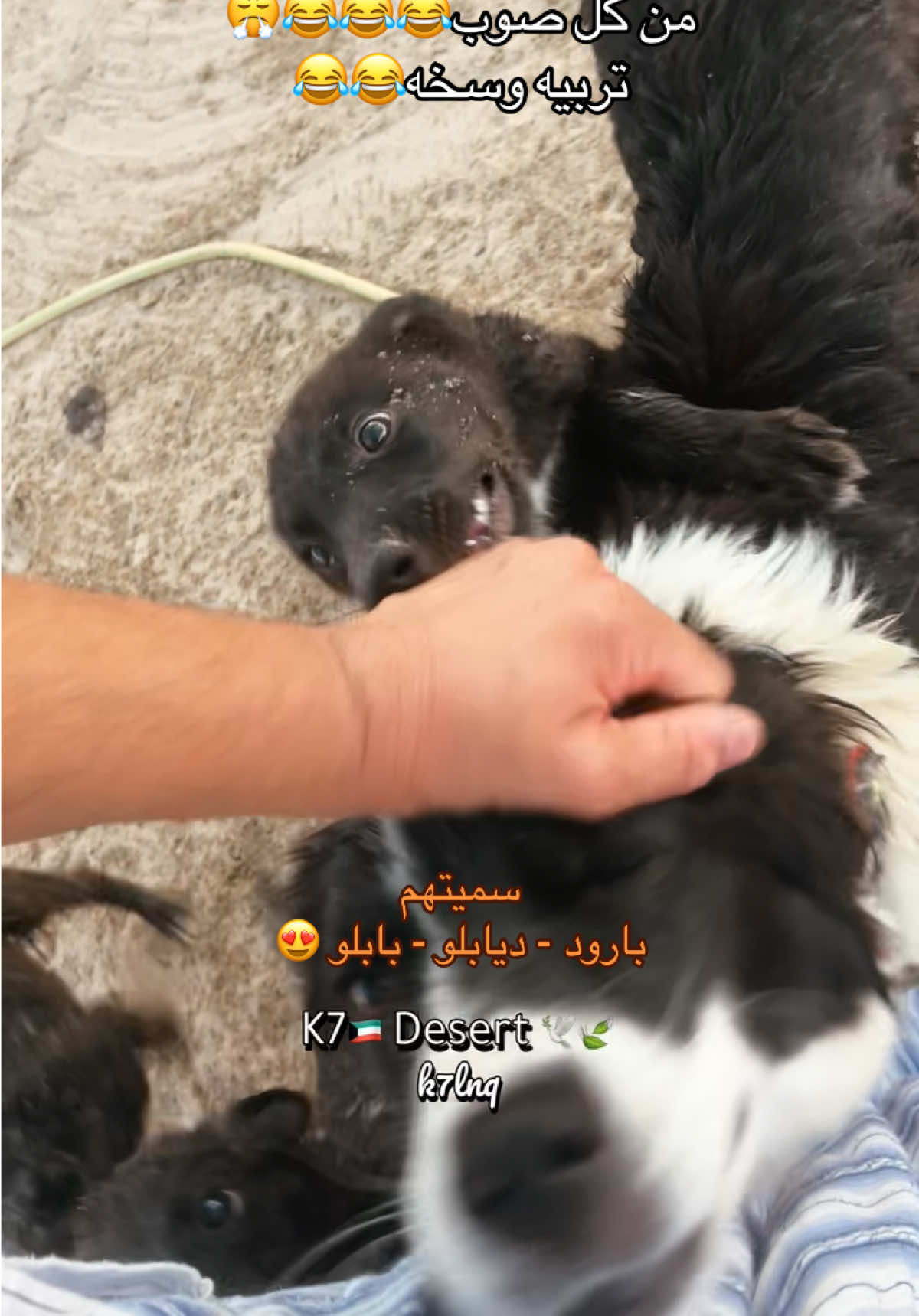 @K7🇰🇼