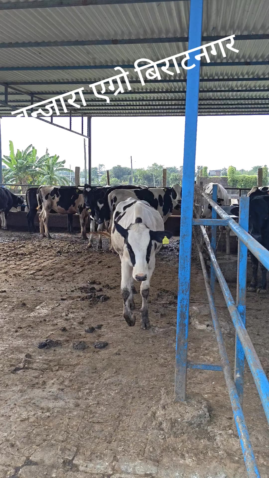 @Banjara Agro