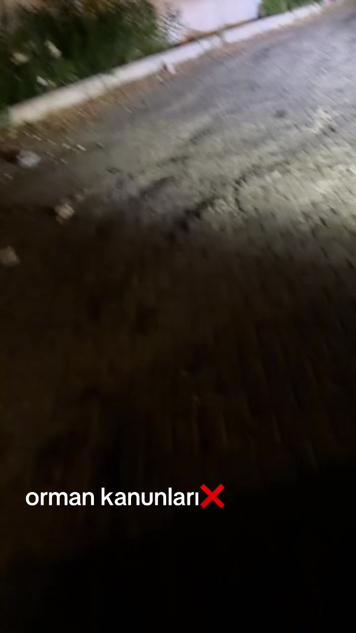 @DURU ÖKTEM🇹🇷