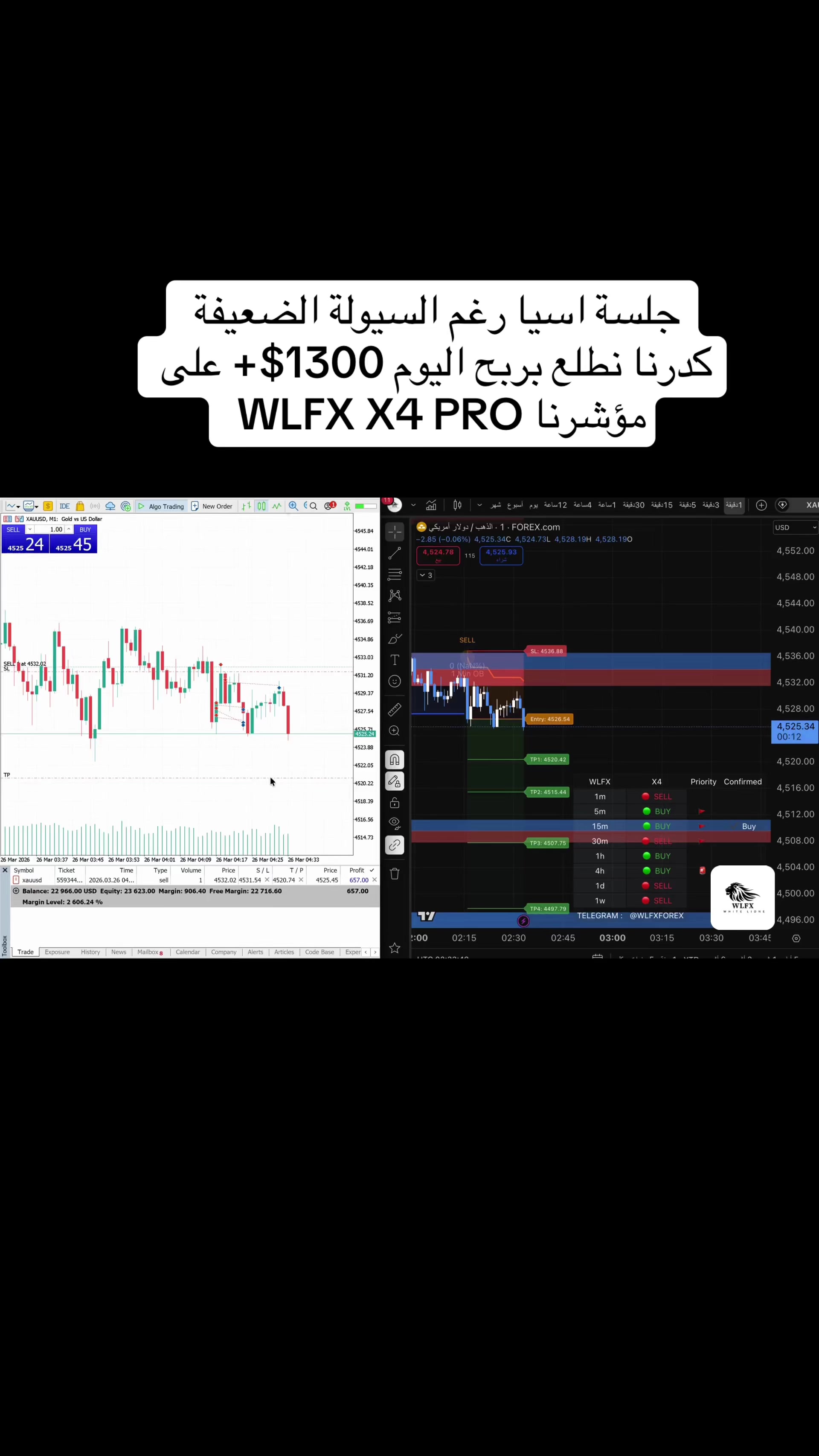 @WLFX.forex