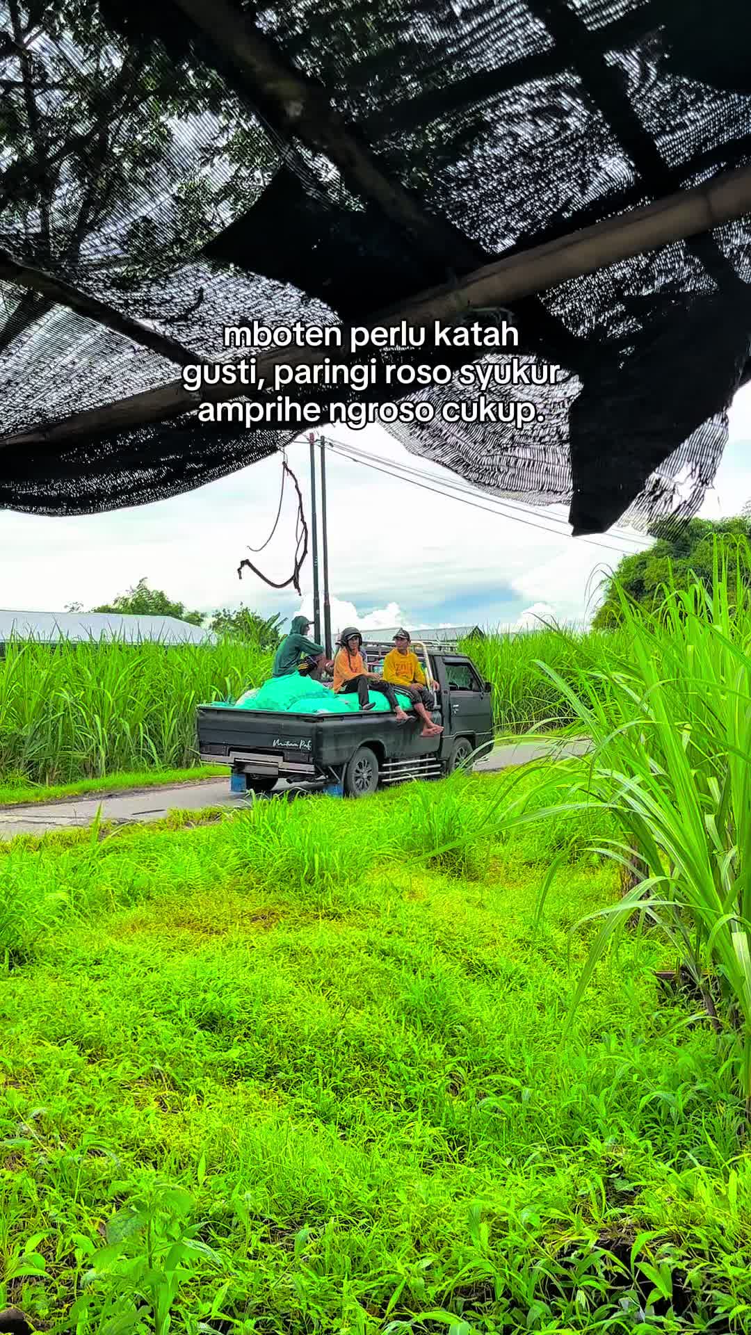 @Mutiara padi grup