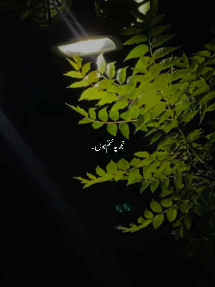@๐ธ๐พโ๐ดโ๐บโ๐ทโแดแดษชษดแดแด ๐ธ