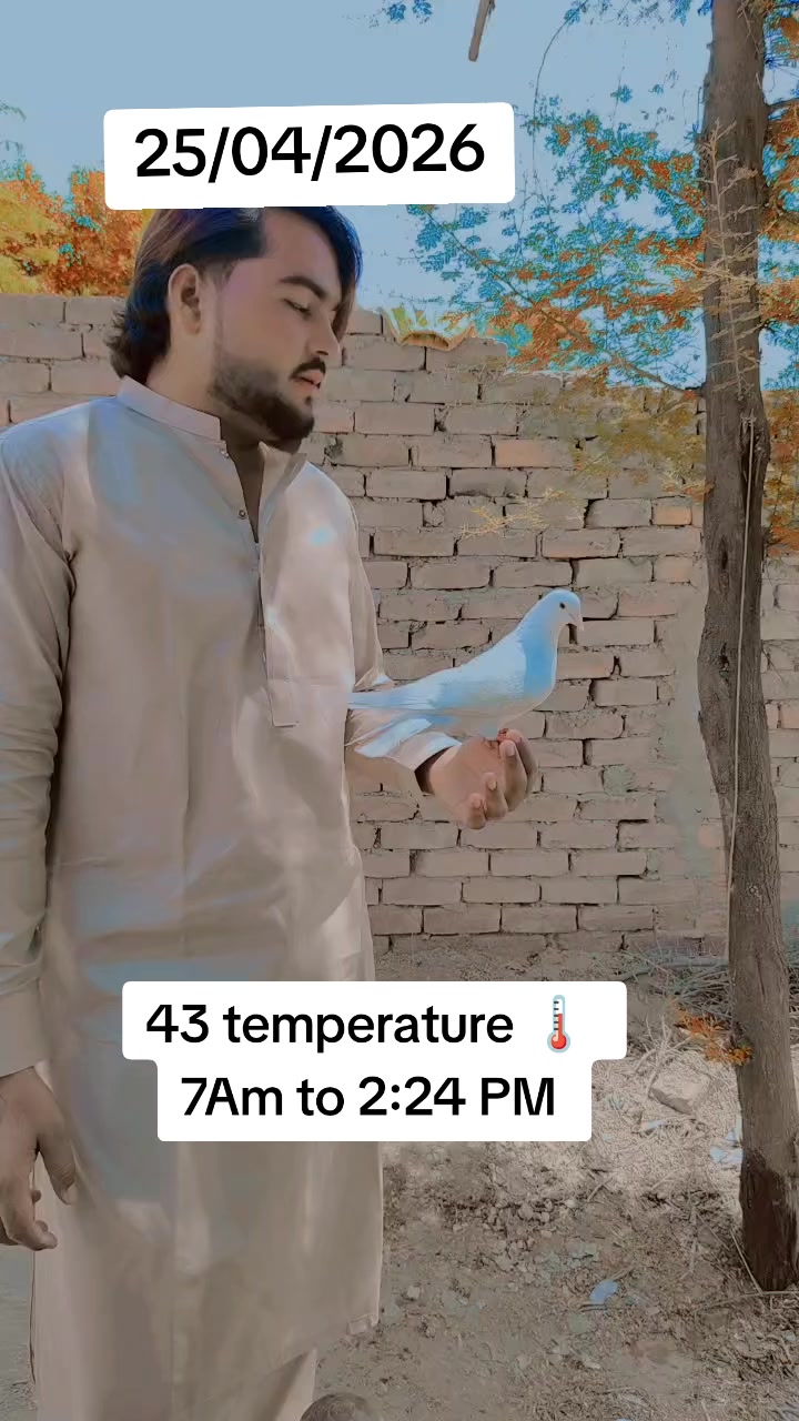 @👿🤟KAMRAN🤟👿