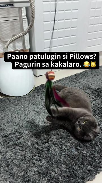 @@AkosiAteLiz