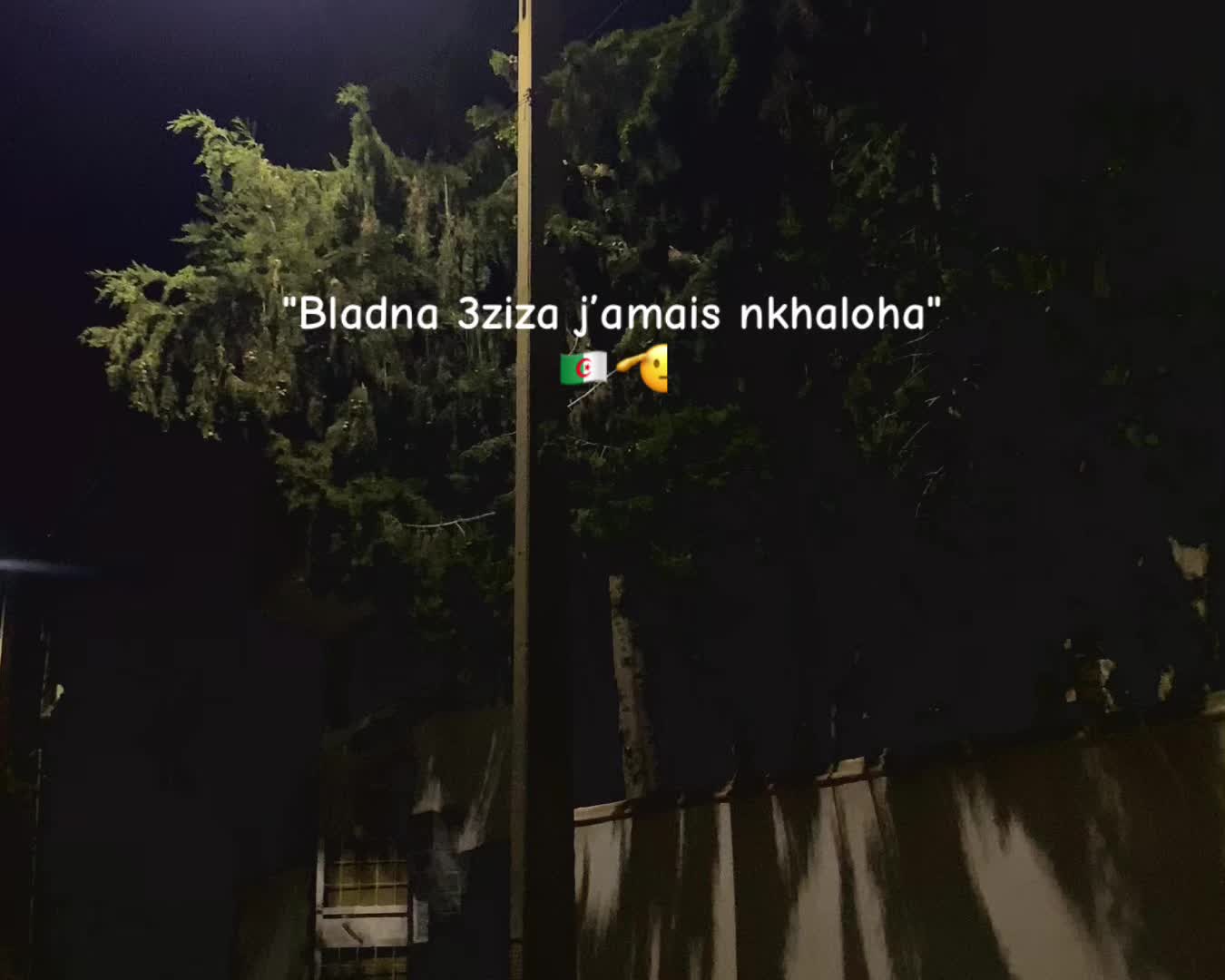 @๐ฑripo slo๐๐ฑ