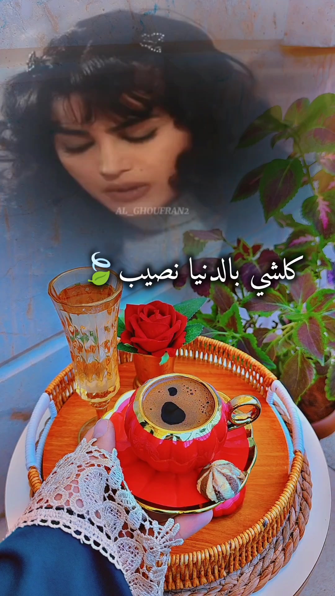 @عبير الورد🍃❤️