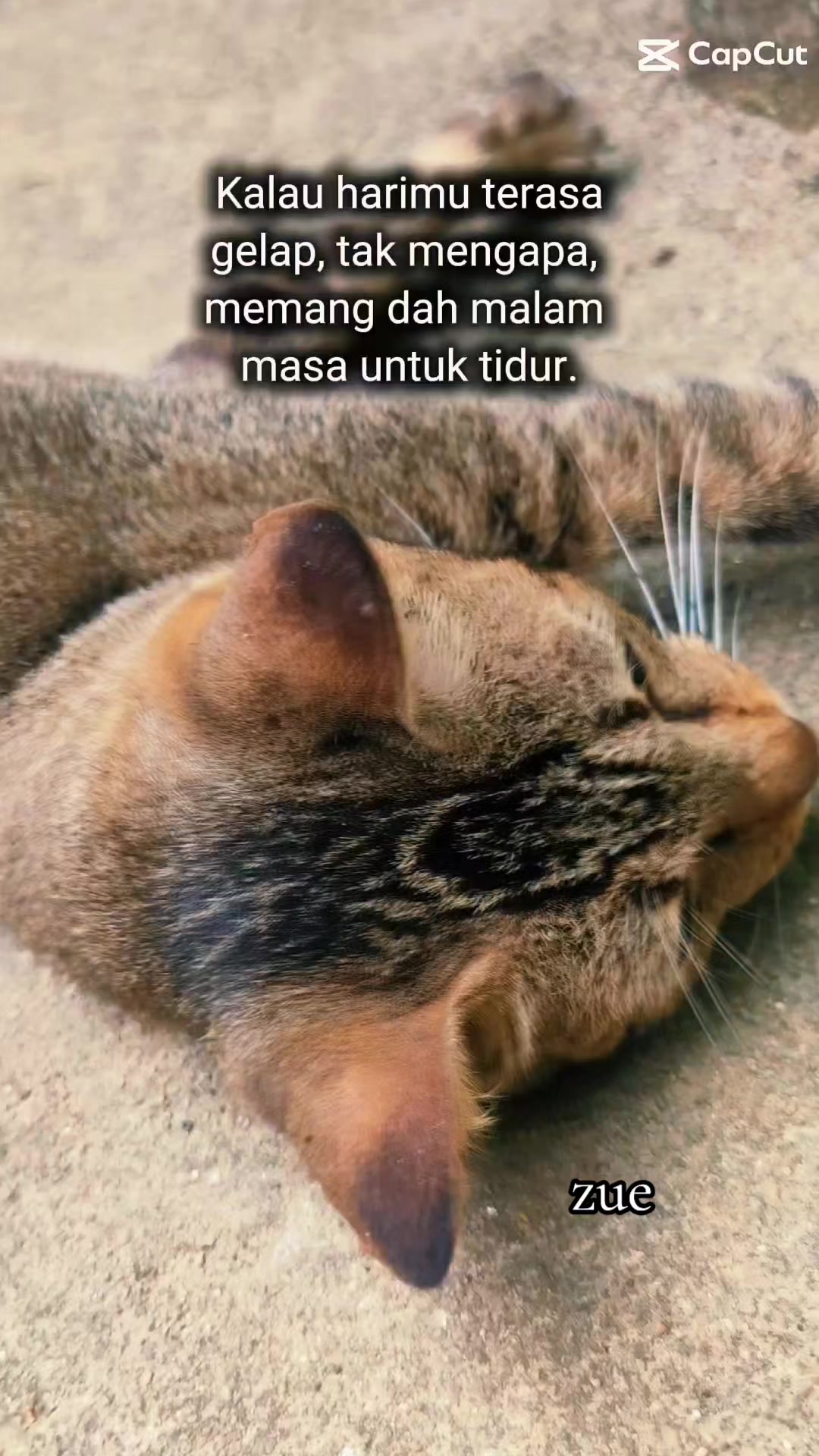 @zue1987