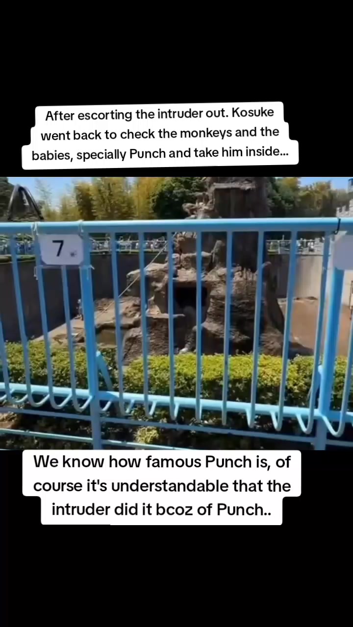 @Mochi/Rusty
