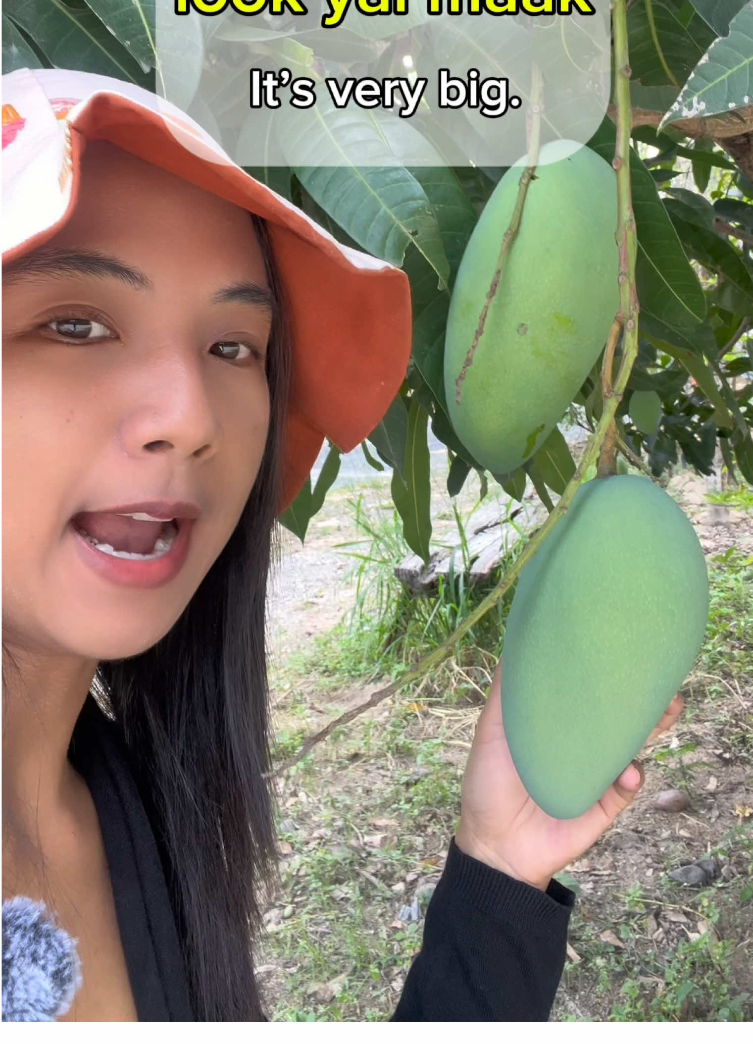 @Thai Lemon