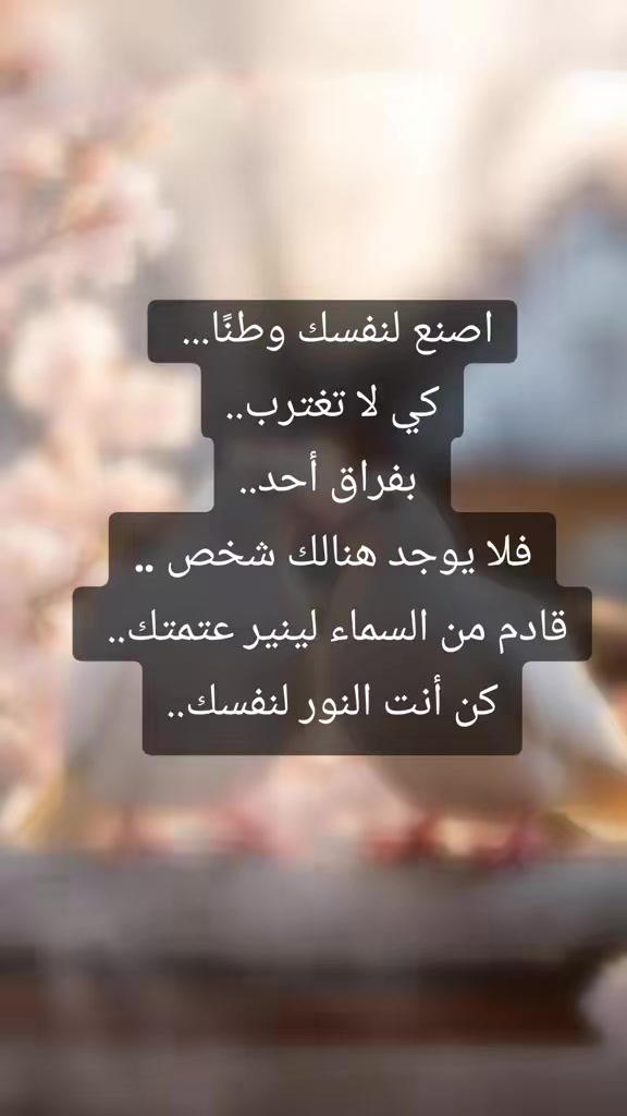 @؏ـاشـᬼـق☽ᬼ🇾🇪⑅⃝التحـᬼـدي😌✌️