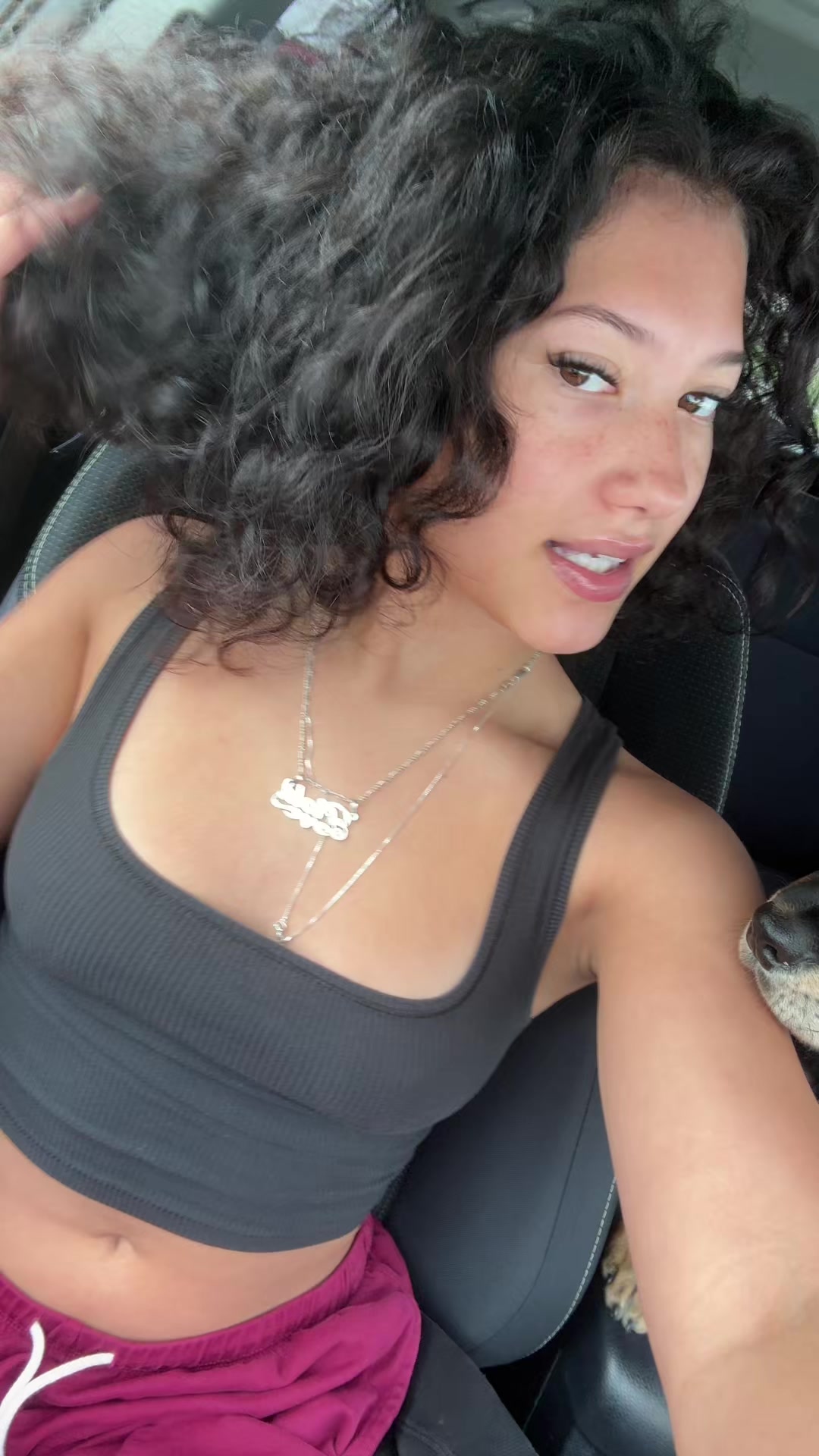 @udkmeho