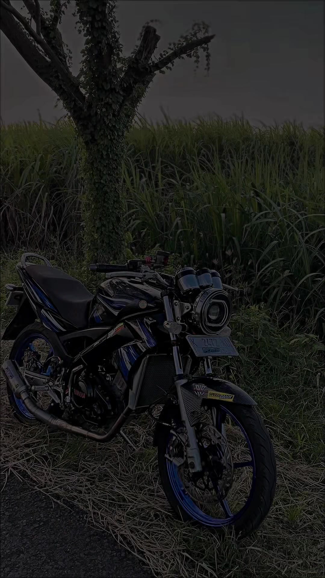 @Klawu Gank🤙