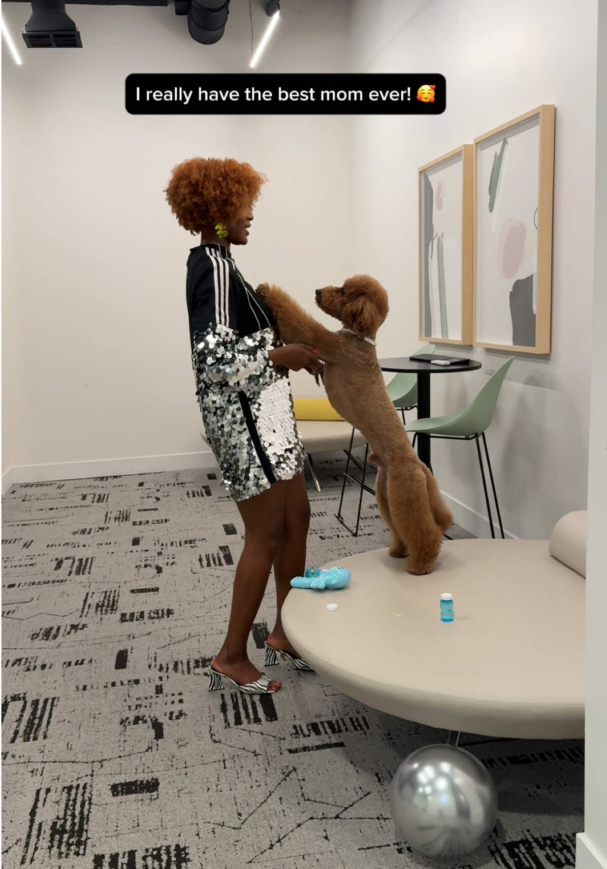 @Mocha | Mini Goldendoodle 🐾