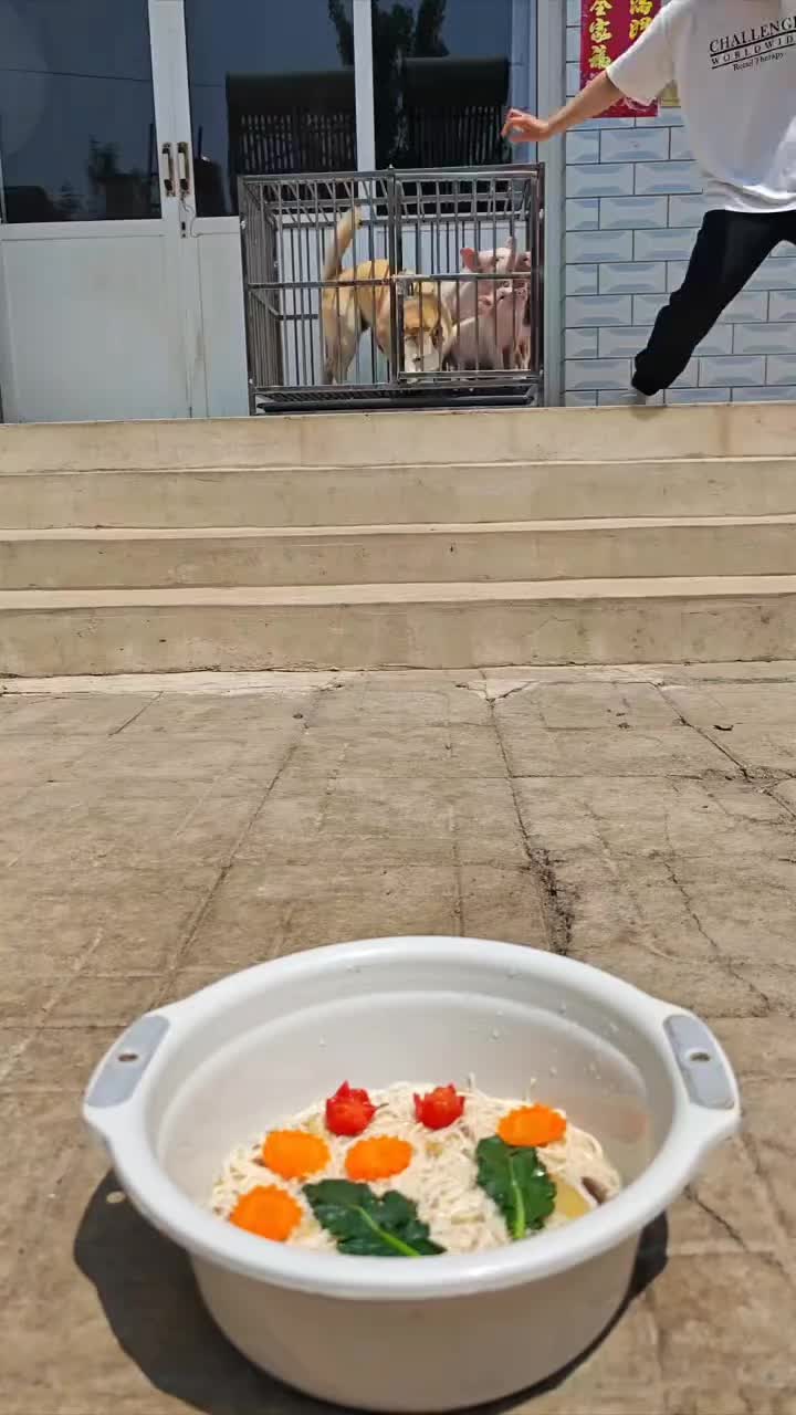 @Mia