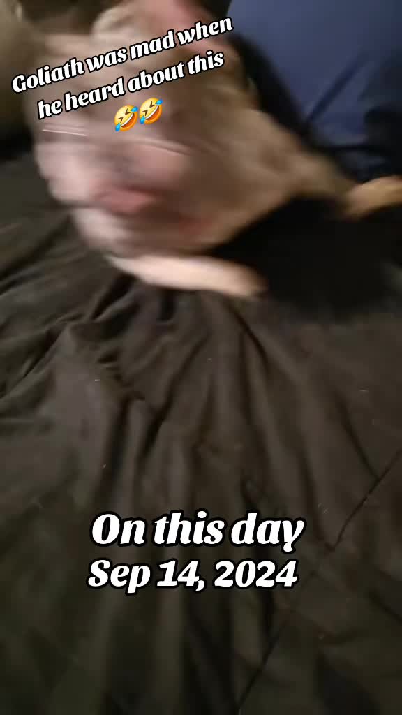 @Proudmomof2boys13