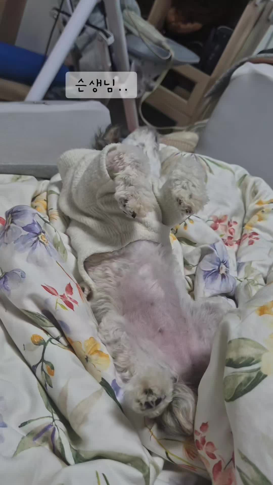 @토토엄마