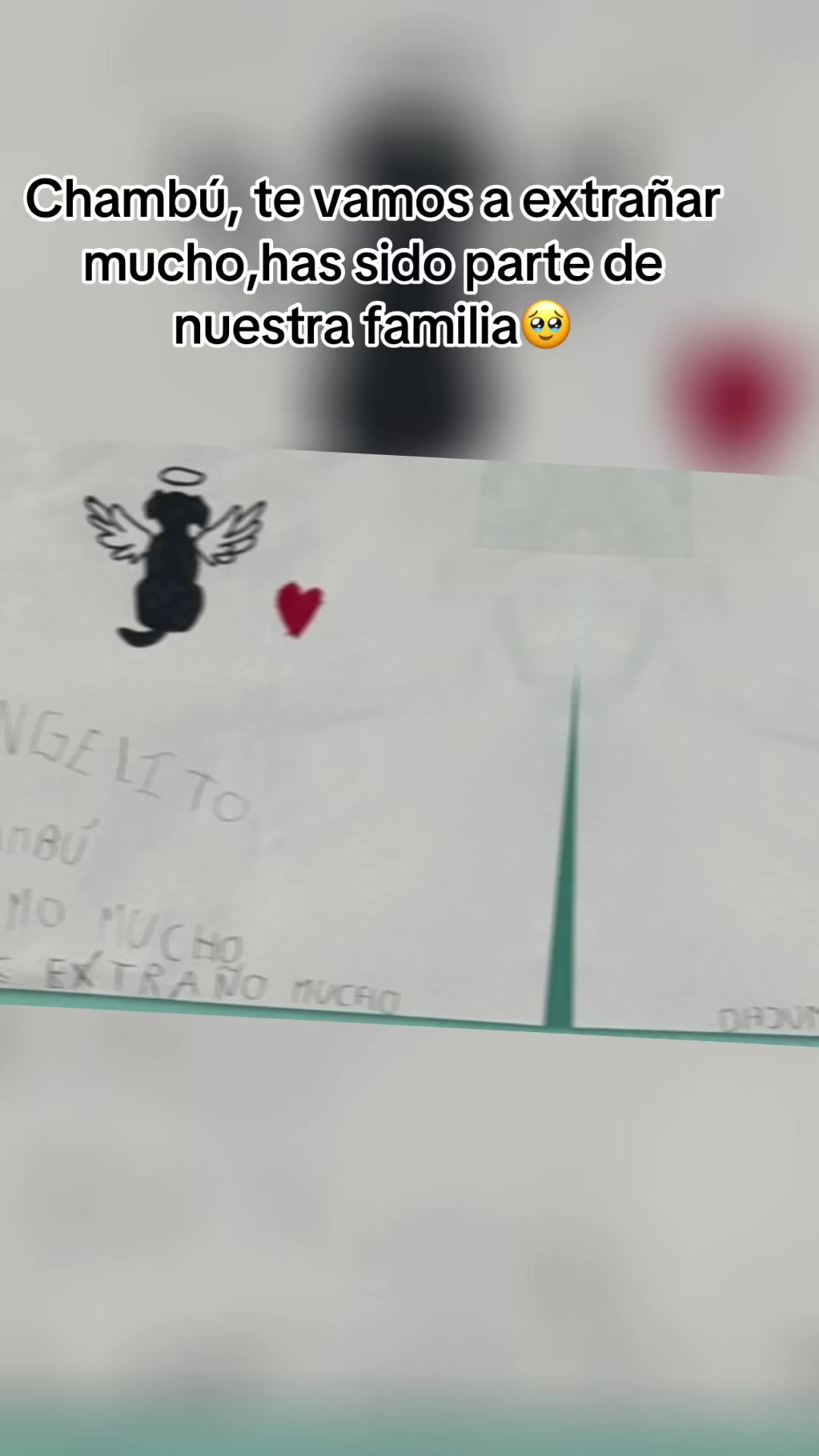 @Denisse CL