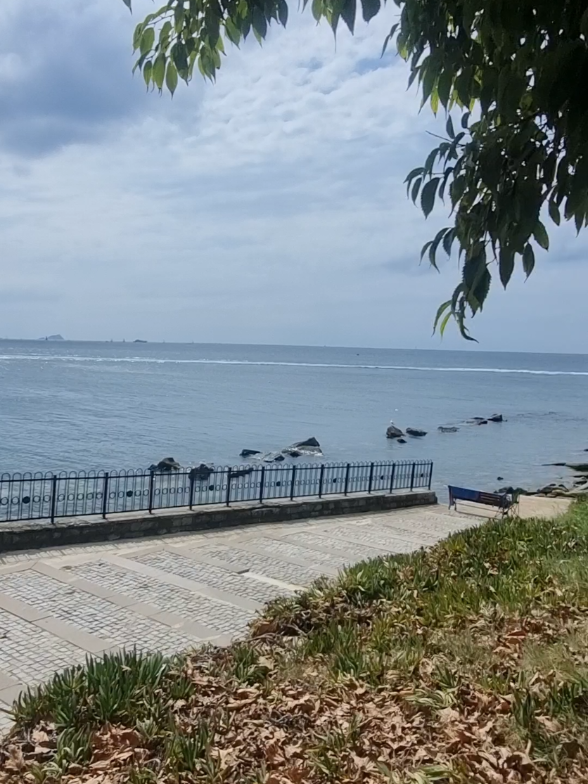@ÖZGÜR