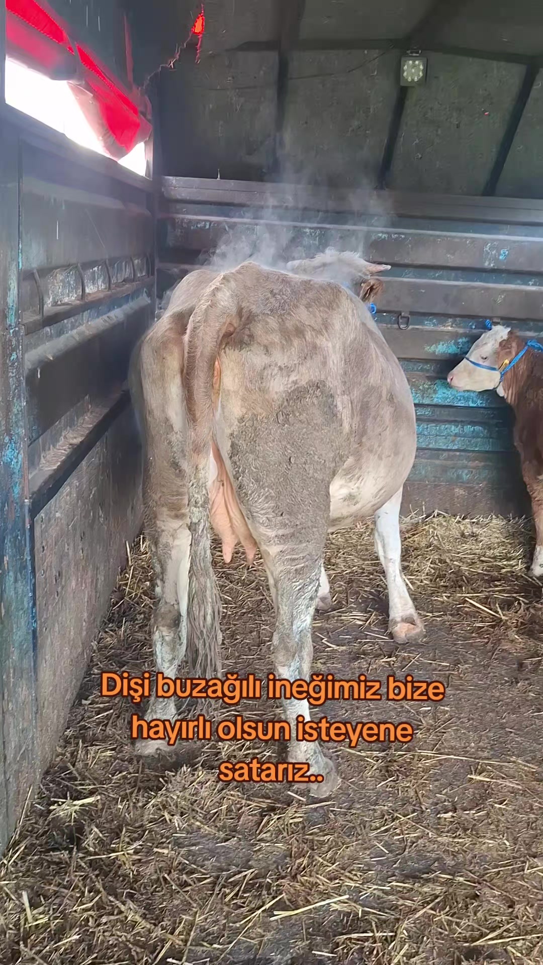 @✎﹏﹏𝐾𝑎𝑑𝑖𝑟 Ş𝑎ℎ&icirc;𝑛﹏﹏