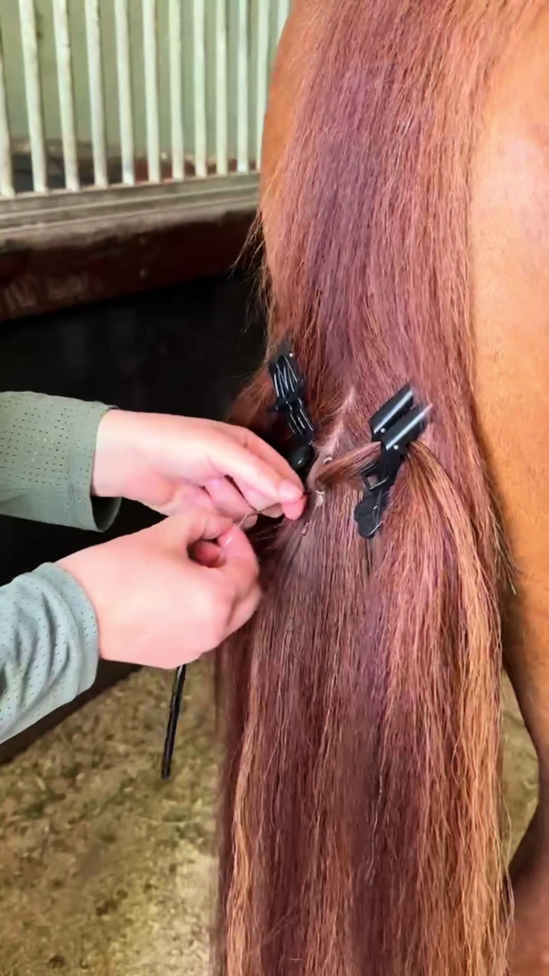 @Luxe Lengths Equine Extensions